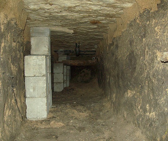 Crawlspace Excavation